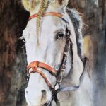 Giuseppina Pioli - Cavallo con la treccia - Acquerello - cm. 40 x 30